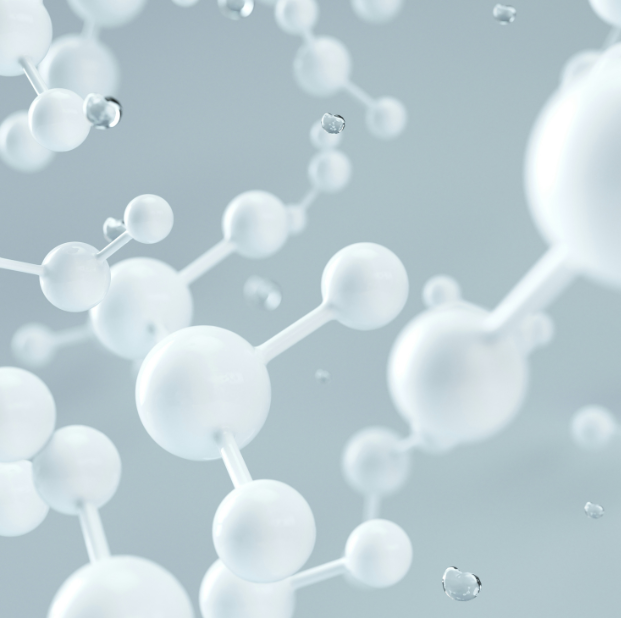 leading scientific publisher