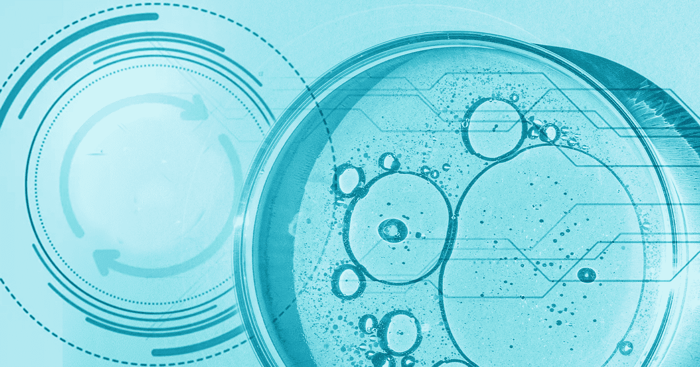 Best Knowledge Management Services for Biotech