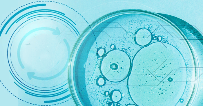 Best Knowledge Management Services for Biotech