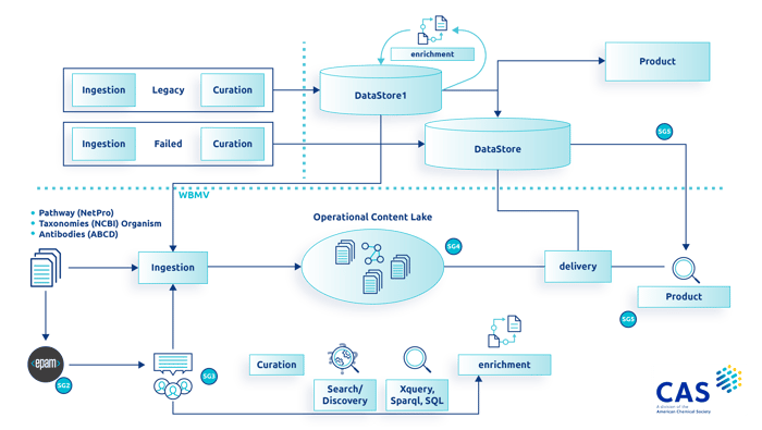 CAS diagram