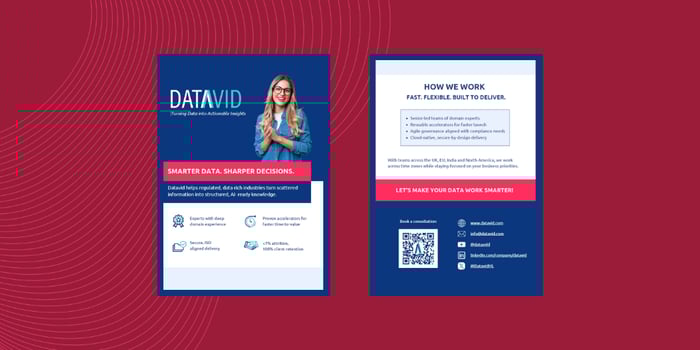 Datavid: Turn your data into an enterprise asset