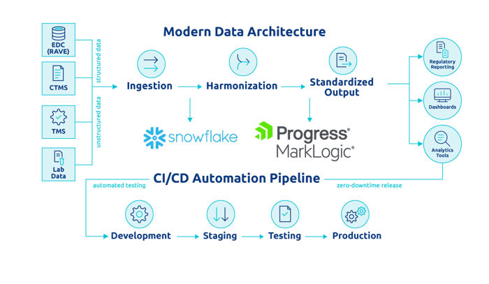 Roche dch solution-2