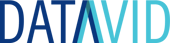 datavid logo for light background