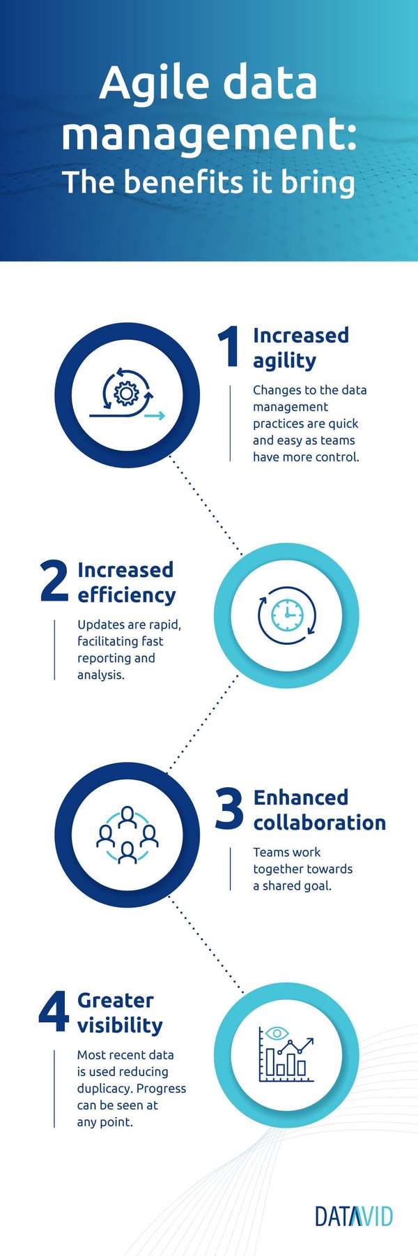 Agile data management infographic