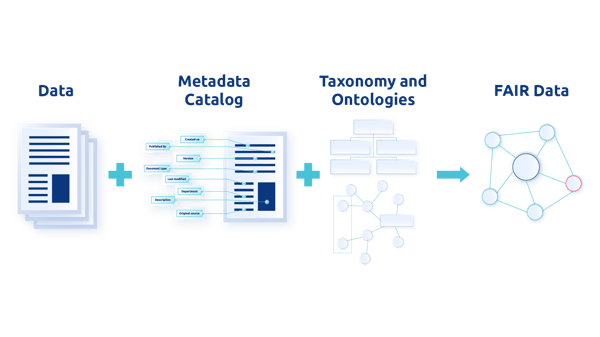 Datavid FAIR Process