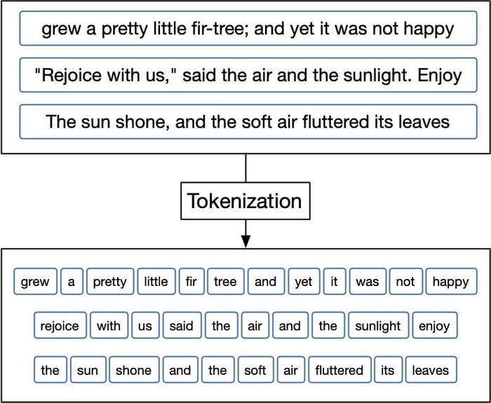 Tokenization process example
