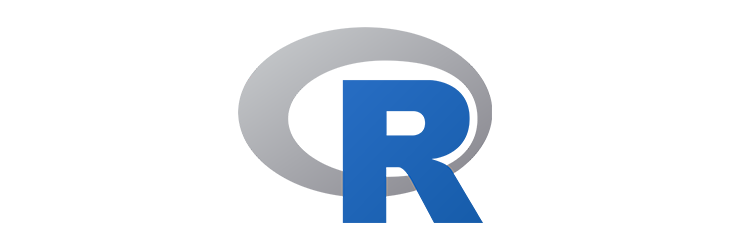 r logo datavid tech stack