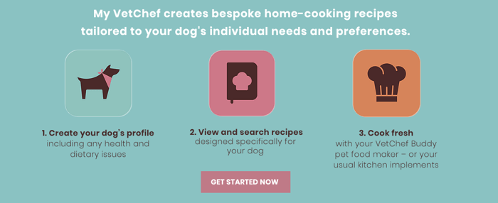 How My VetChef works in 3 simple steps