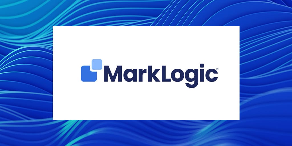 datavid partner marklogic data hub platform
