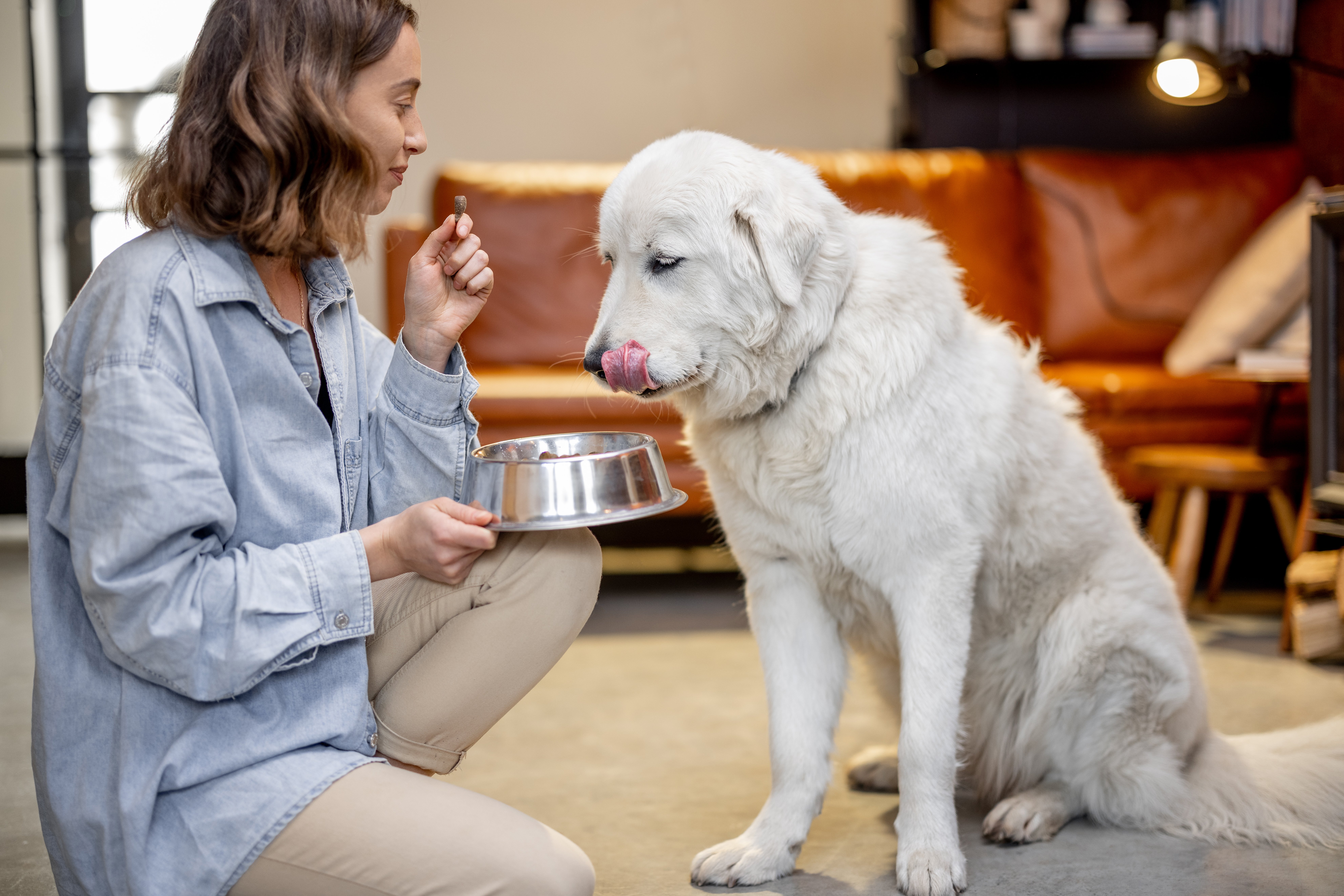 woman-feeding-a-dog-with-dry-food-2025-03-13-14-52-31-utc