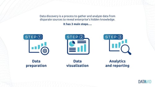Datavid data discovery steps