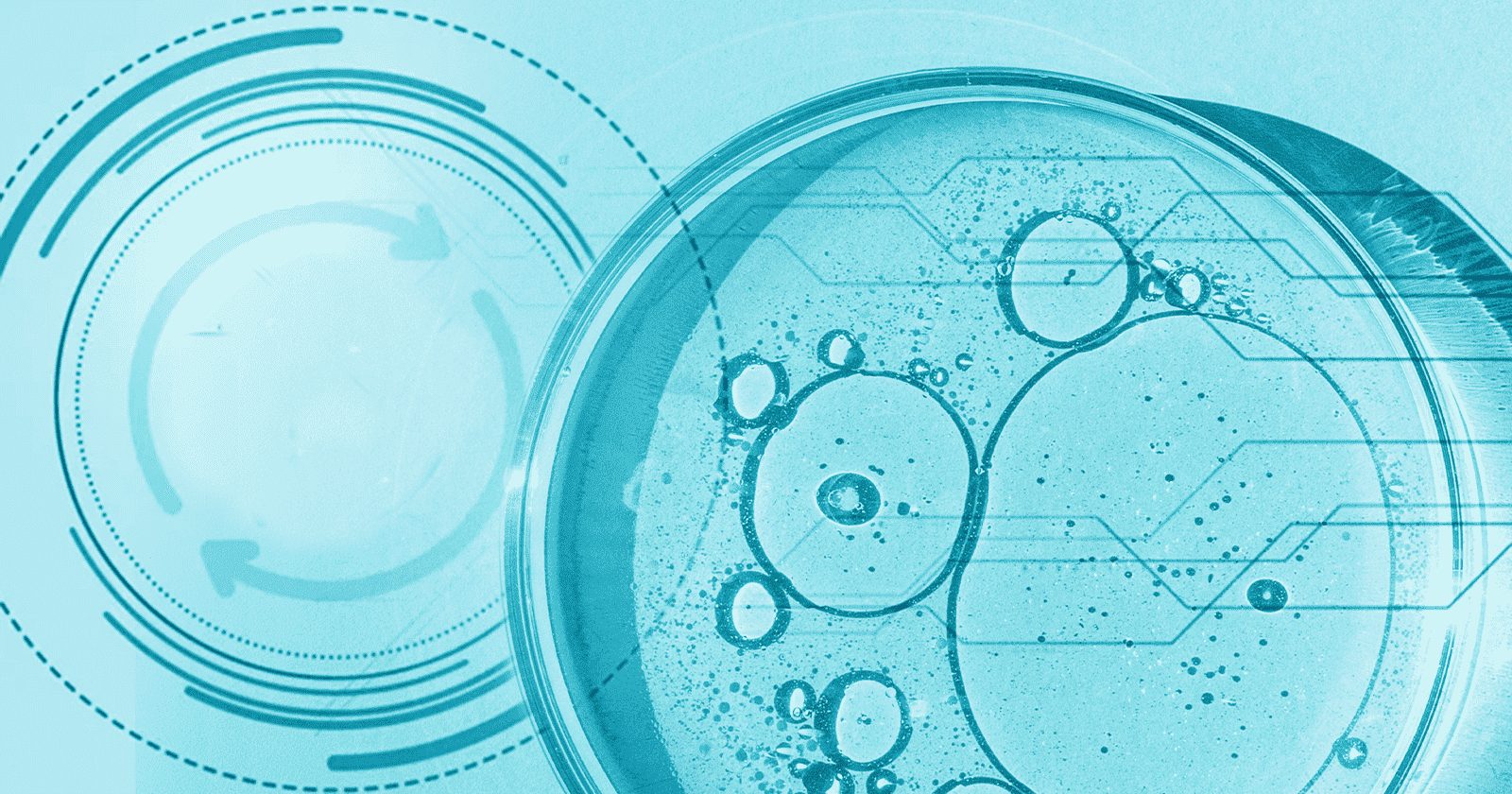 Best Knowledge Management Services for Biotech