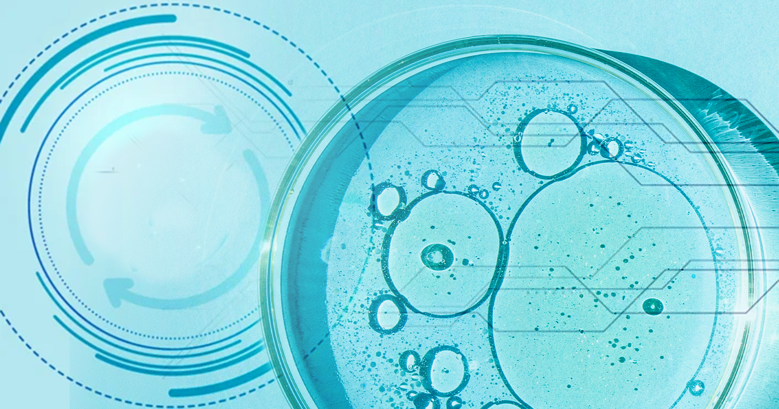 Best Knowledge Management Services for Biotech