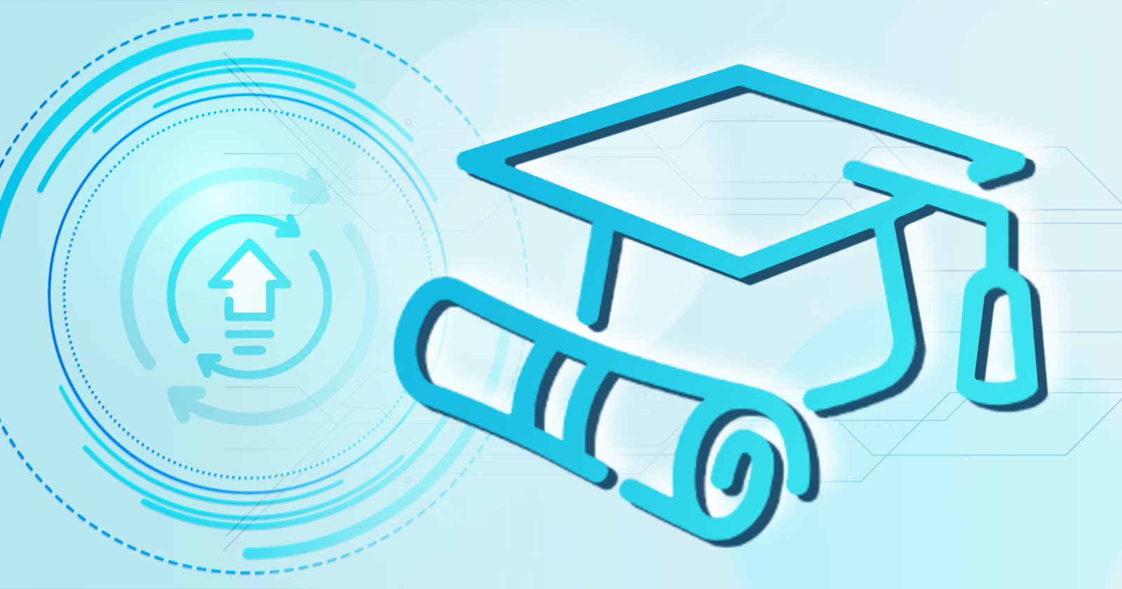 Best Research Knowledge Graph Services for Universities