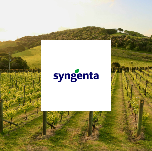 syngenta case study
