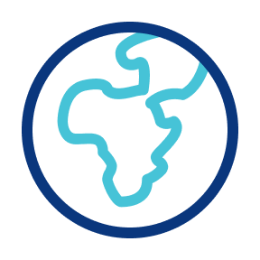 In-country leadership and global delivery 