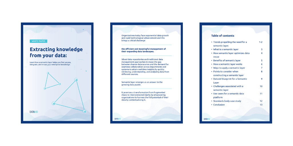Semantic layer [Whitepaper] preview